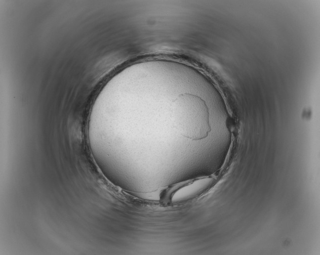 X0000091311209200709071107