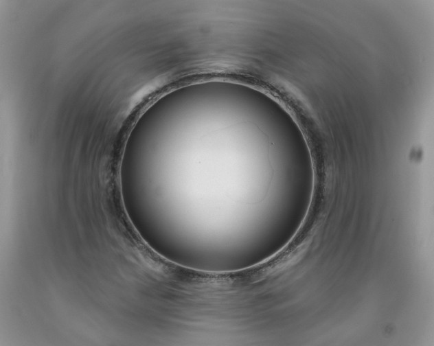 X0000091311210200709071107