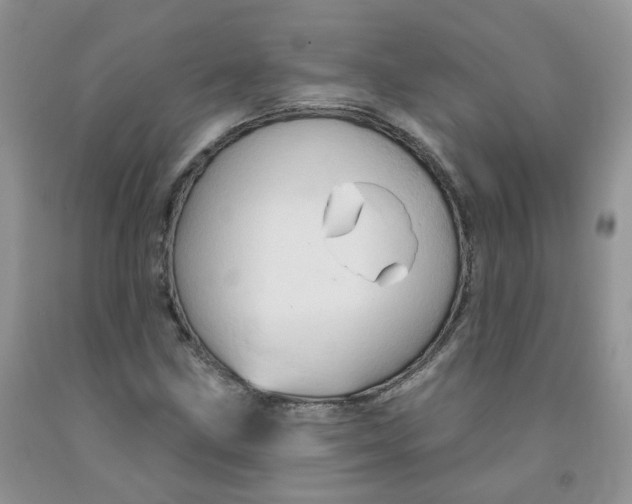 X0000091311211200709071107