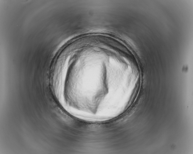 X0000091311212200709071107