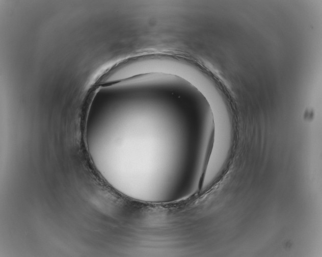 X0000091311214200709071107