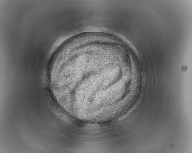 X0000091311215200709071107