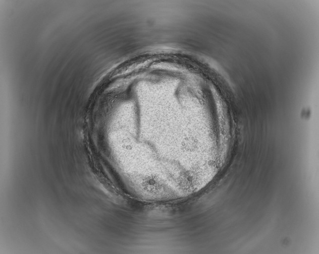 X0000091311217200709071107