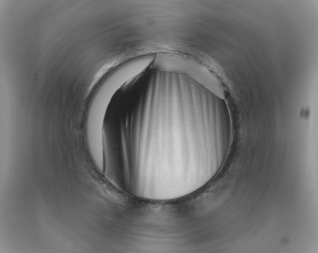 X0000091311218200709071107