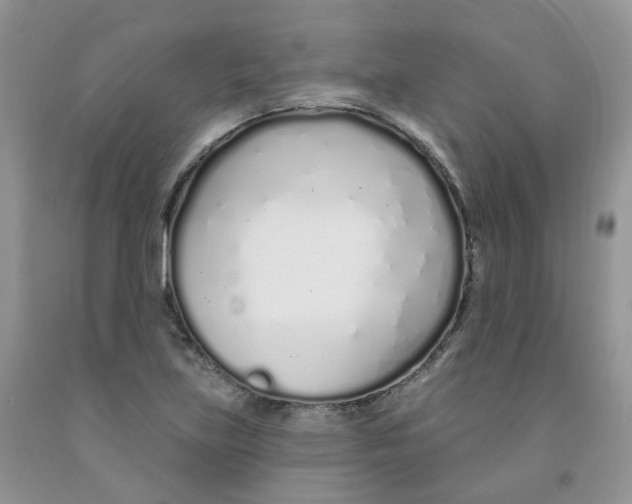 X0000091311219200709071107