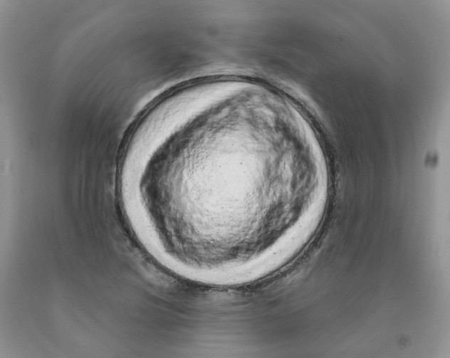 X0000091311220200709071107