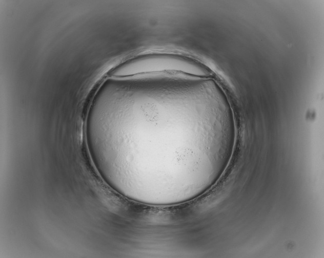 X0000091311221200709071107