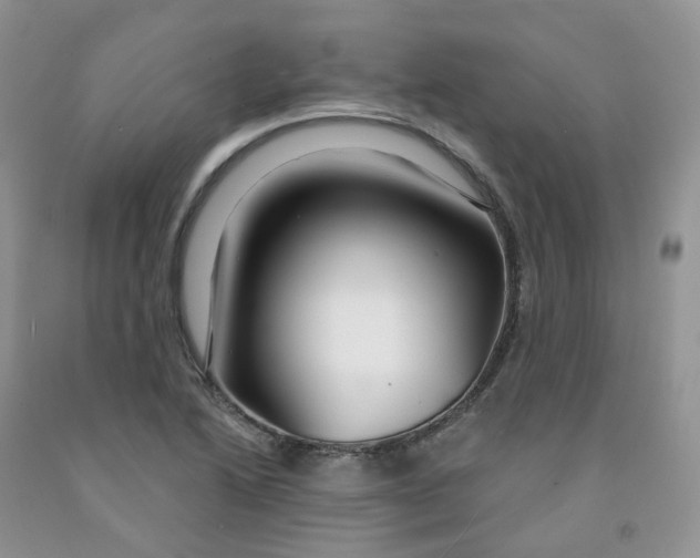 X0000091311222200709071107