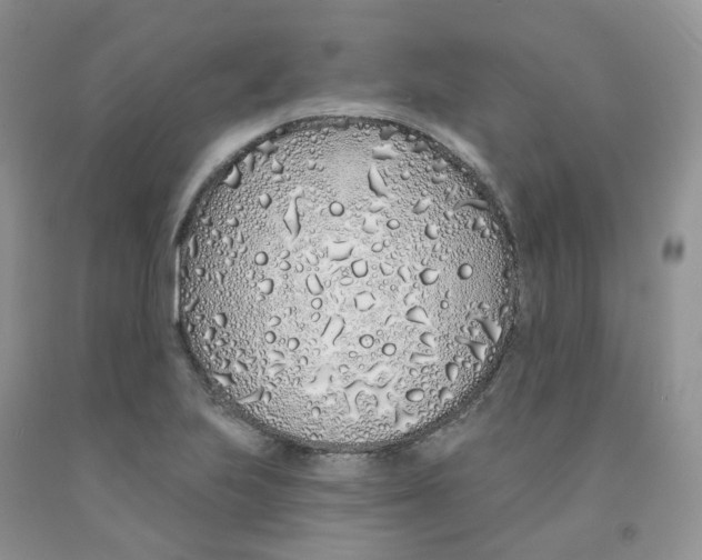 X0000091311223200709071107