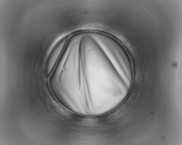 X0000091311224200709071107