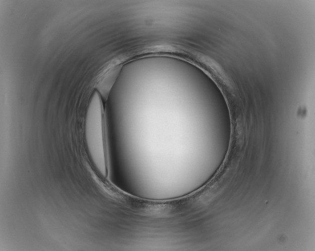 X0000091311225200709071107