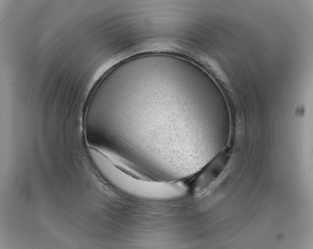 X0000091311226200709071107