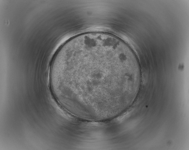 X0000091311227200709071107