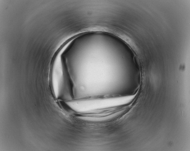 X0000091311228200709071107