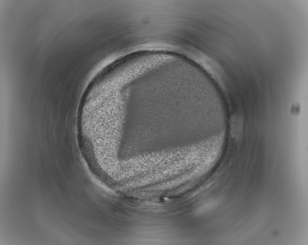 X0000091311229200709071107