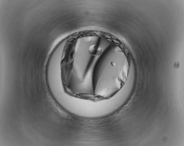 X0000091311230200709071107