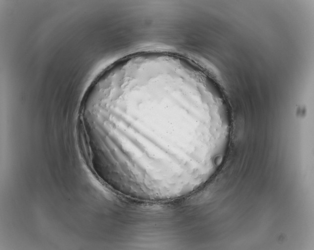 X0000091311231200709071107