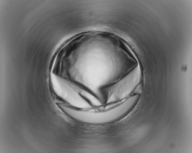 X0000091311232200709071107