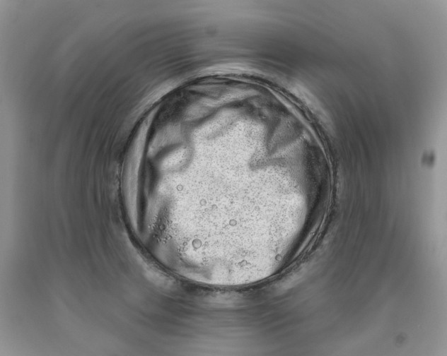 X0000091311233200709071107