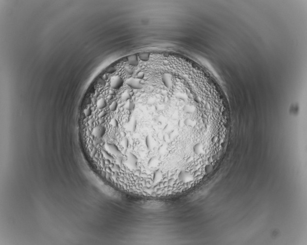 X0000091311235200709071107