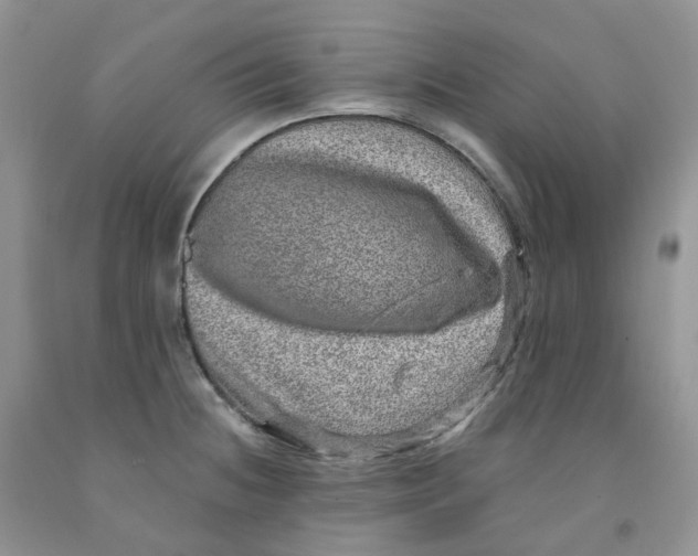 X0000091311236200709071107