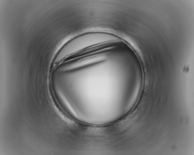 X0000091311237200709071107