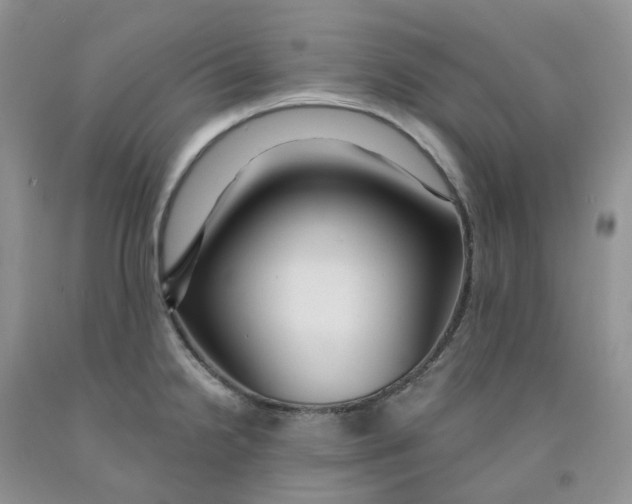 X0000091311238200709071107