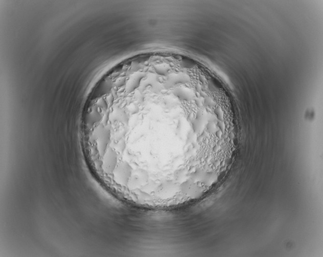 X0000091311239200709071107