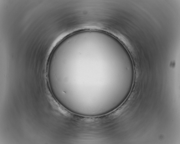 X0000091311240200709071107