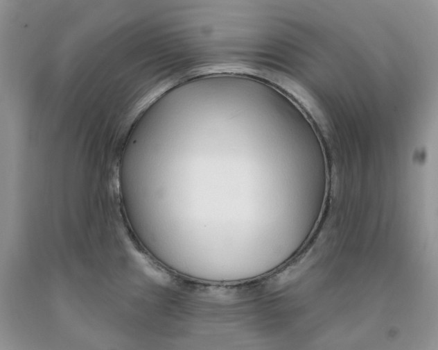 X0000091311241200709071107