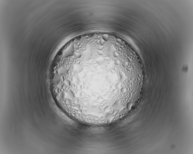 X0000091311243200709071107