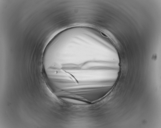 X0000091311244200709071107