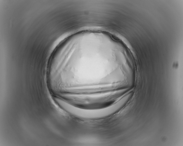 X0000091311245200709071107