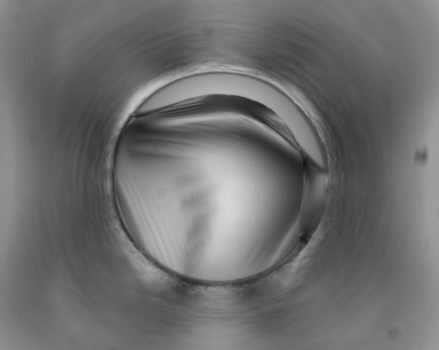 X0000091311246200709071107