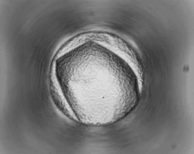 X0000091311247200709071107