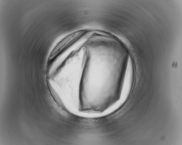 X0000091311248200709071107