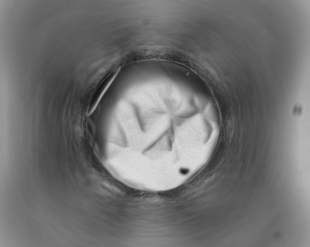 X0000091311250200709071107