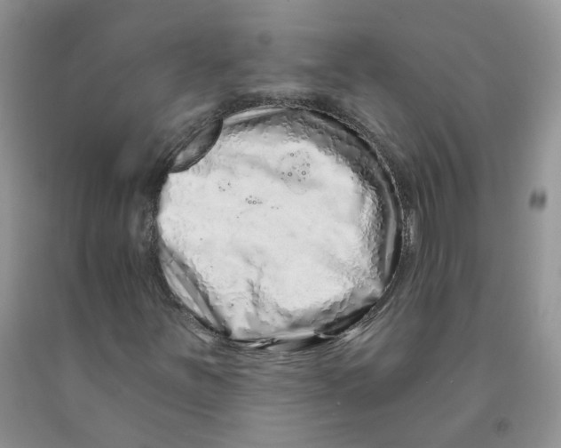 X0000091311251200709071107