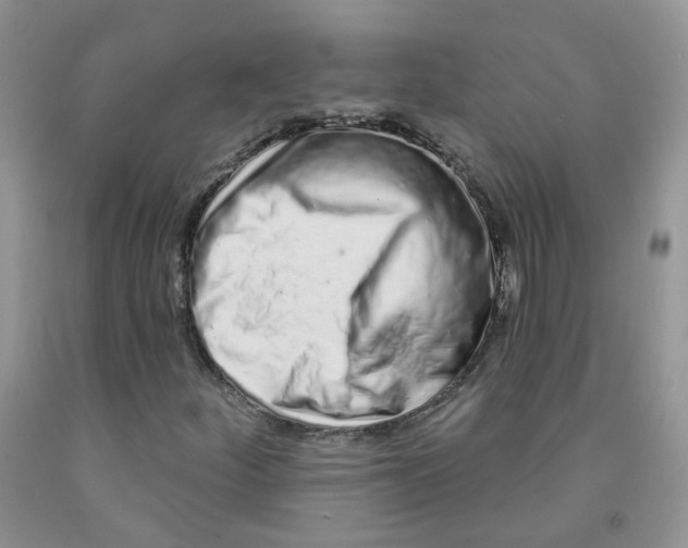 X0000091311252200709071107