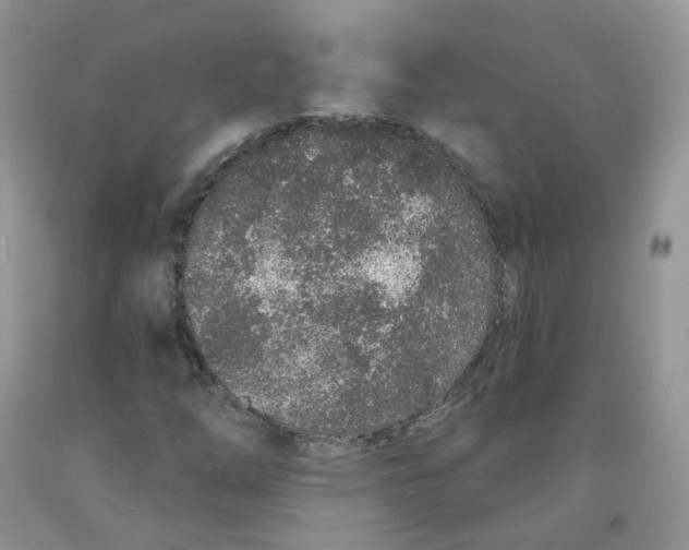 X0000091311254200709071107