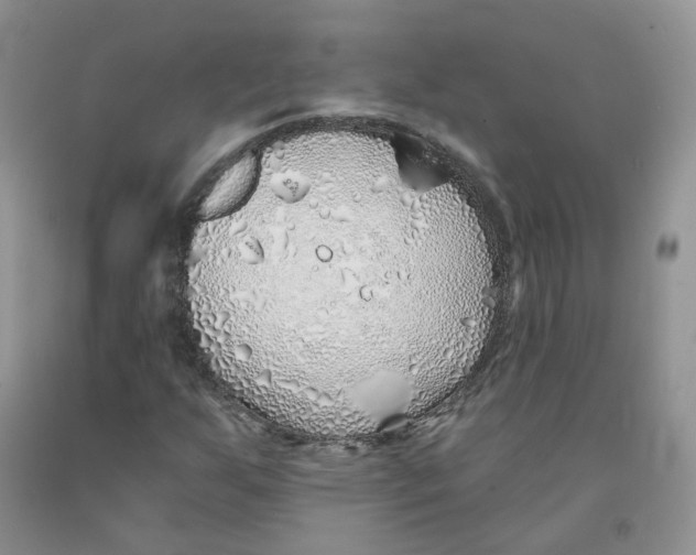 X0000091311255200709071107