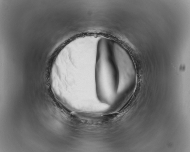 X0000091311256200709071107