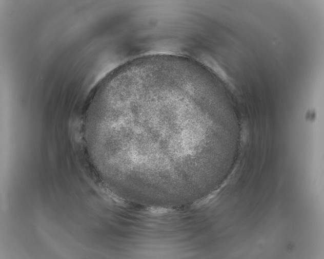 X0000091311258200709071107