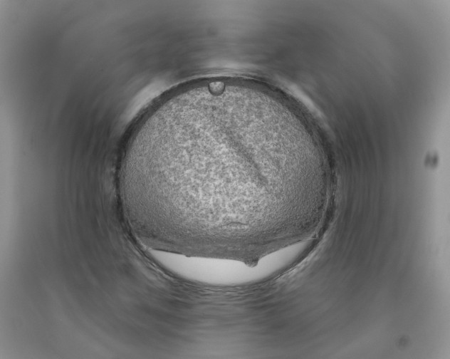 X0000091311259200709071107