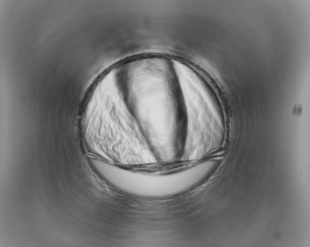 X0000091311260200709071107