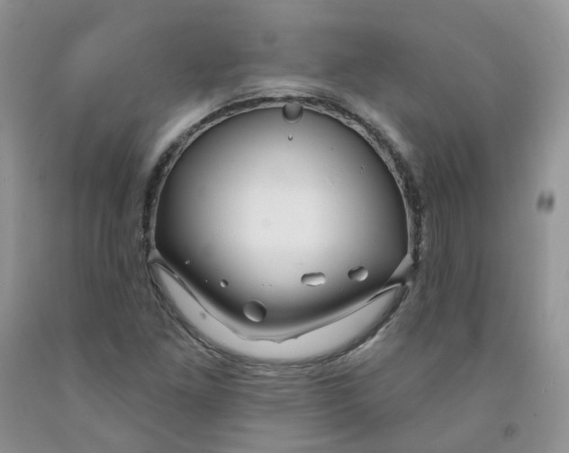 X0000091311261200709071107