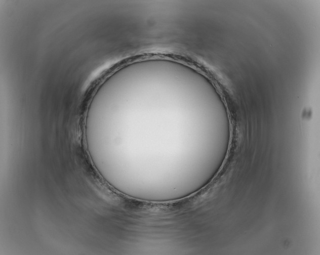 X0000091311262200709071107