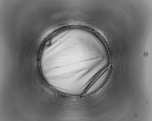 X0000091311263200709071107