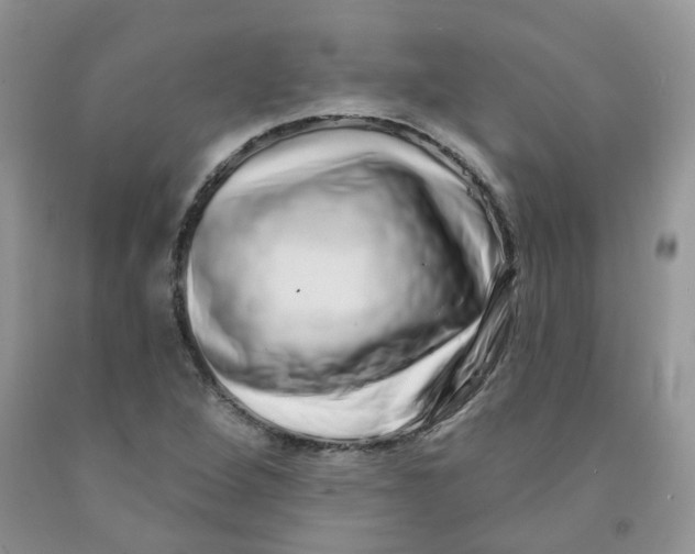 X0000091311264200709071107