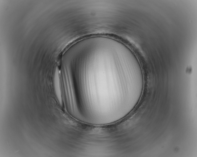 X0000091311265200709071107